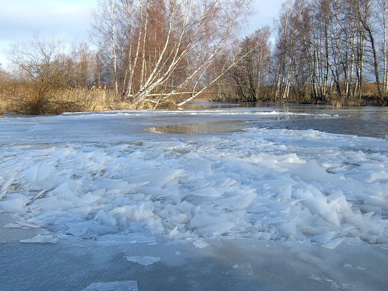 Jääpato Kivini Jääpato Kivini