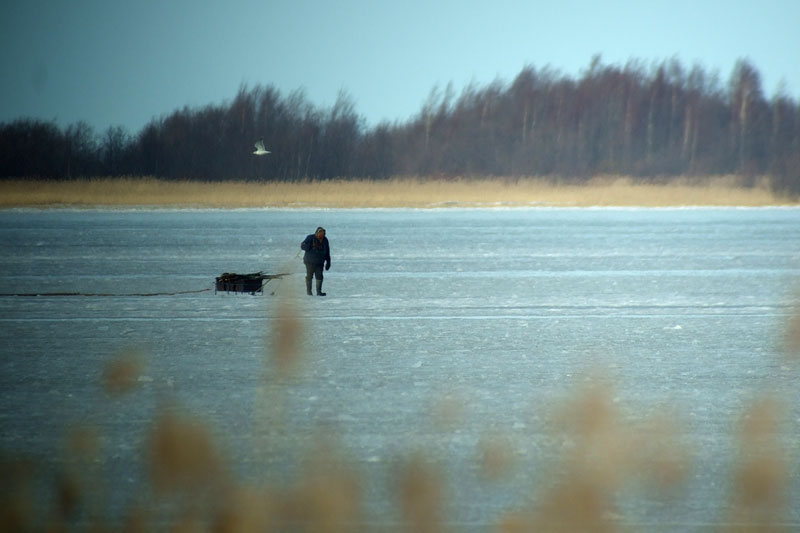 Kalastaja Kalastaja