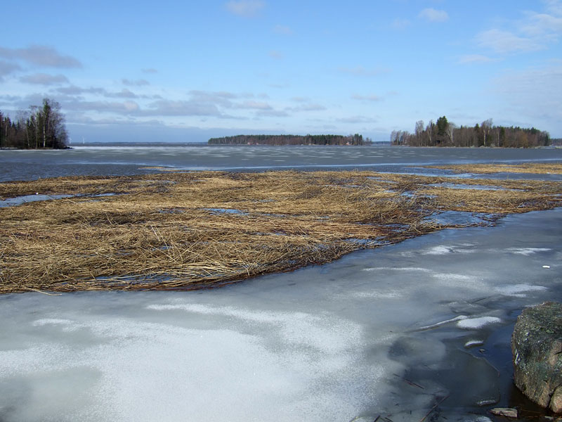 Viimeiset jäät Viimeiset jäät