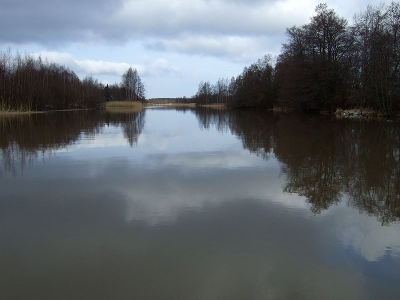 Tyyni Kyläsaarenjuopa Tyyni Kyläsaarenjuopa