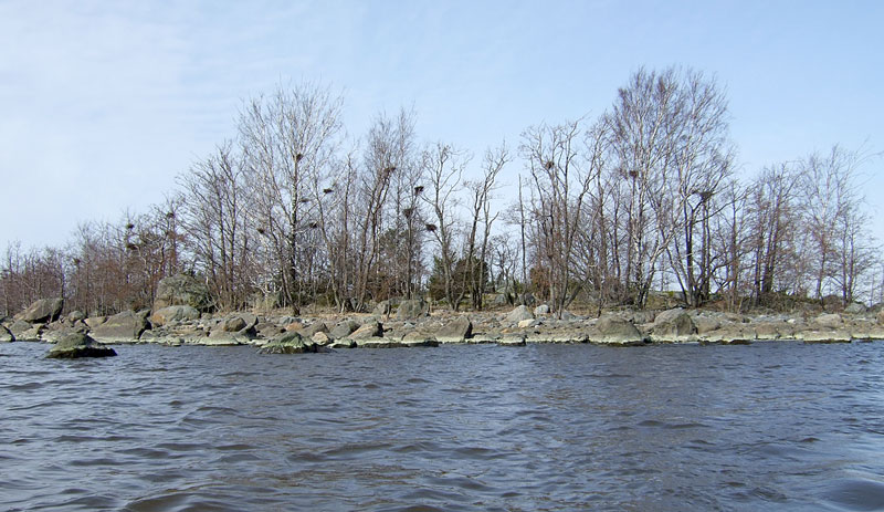 Porin 2007 löytymätön Porin 2007 löytymätön