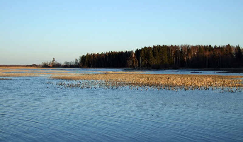 Puussanlahti Puussanlahti