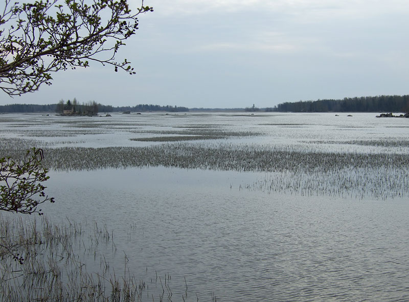 Puussan takalahti