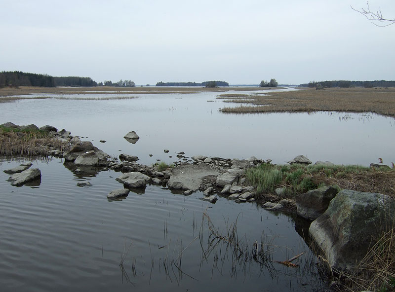 T&auml;rnoorasta NW