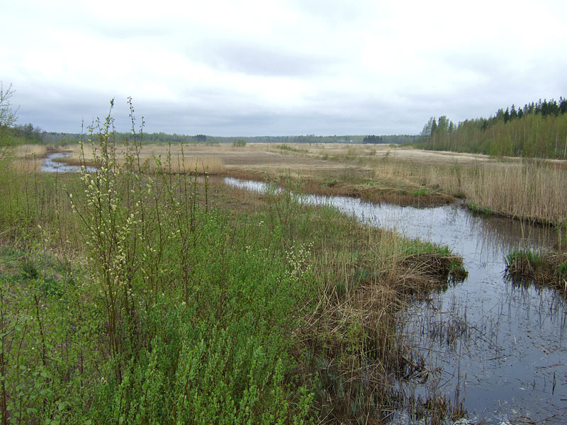 Kirkkojärvi pohjoiseen Kirkkojärvi pohjoiseen