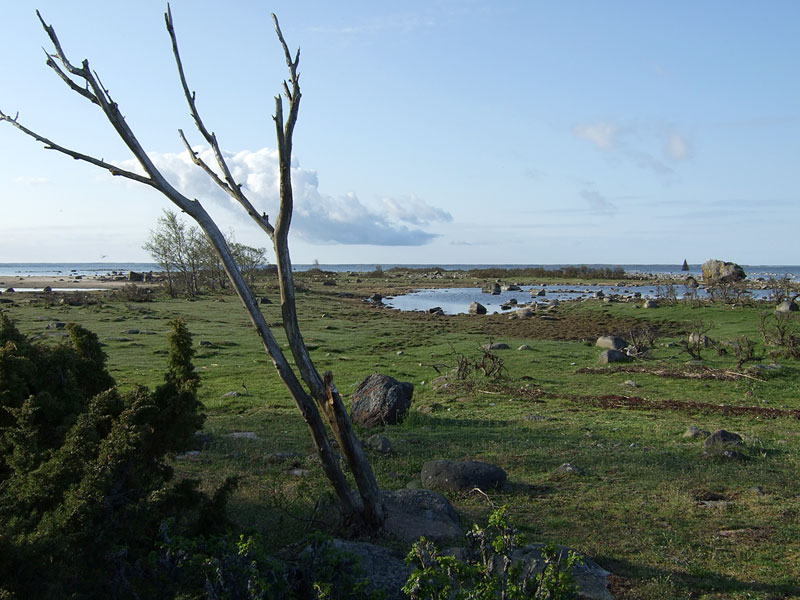 Kärjen eteläranta Kärjen eteläranta