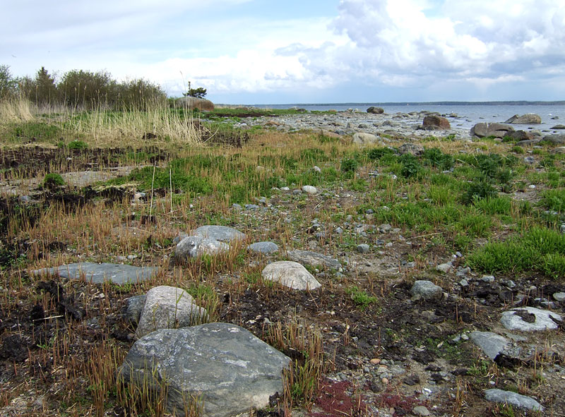 Koillisrantaa Koillisrantaa