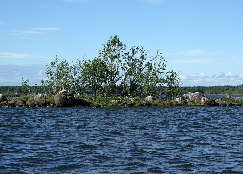 Tyhjentynyt luoto
