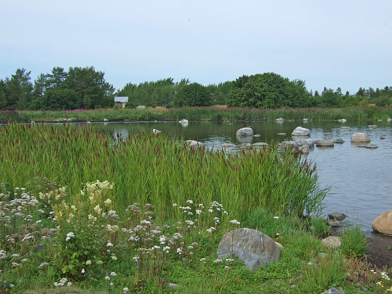 Laguuni Laguuni