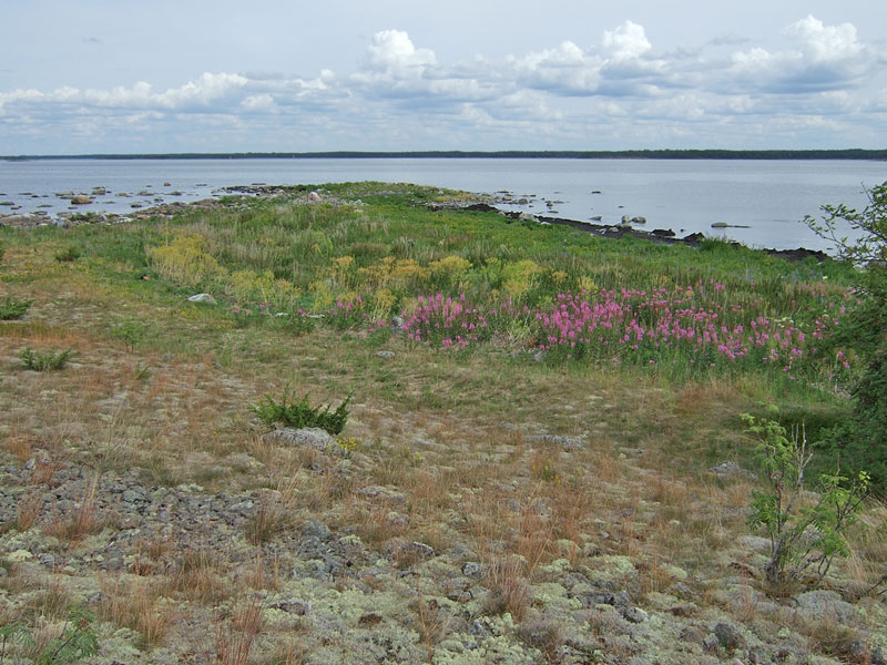 Koilliskärki Koilliskärki