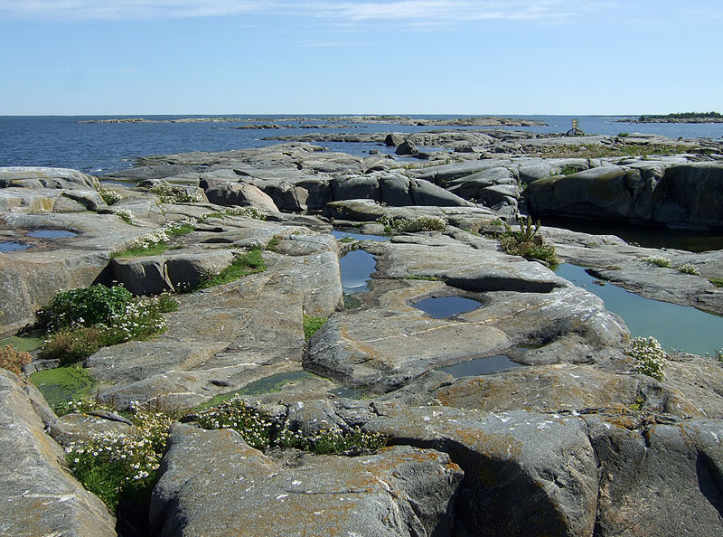 Truutkalliolta kohti Marjakaria Truutkalliolta kohti Marjakaria