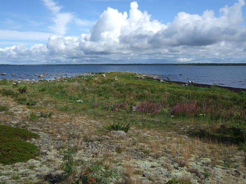Koilliskärki Koilliskärki