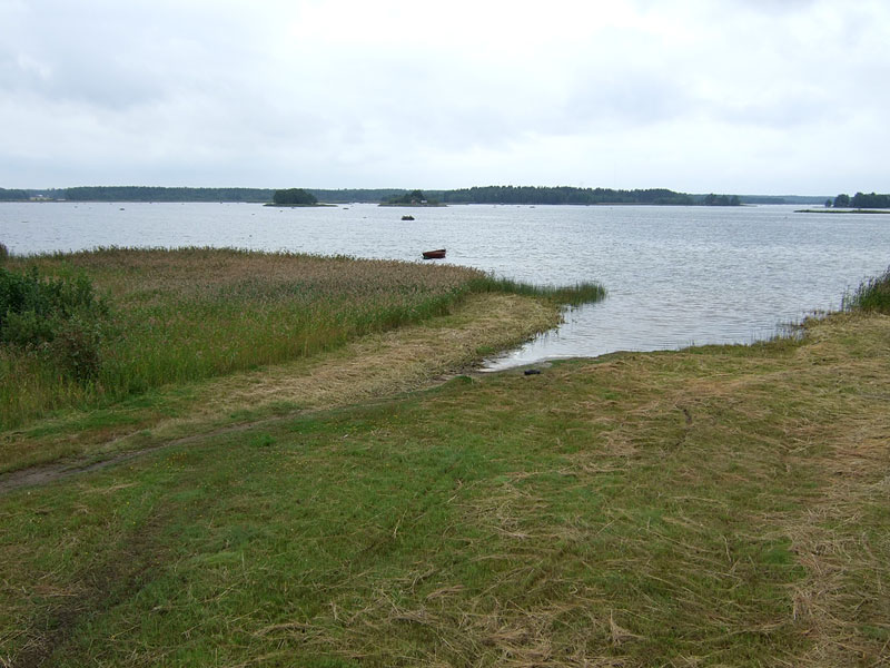 Paarnoorin edustaa
