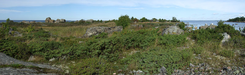 Steenkumppoosi Steenkumppoosi