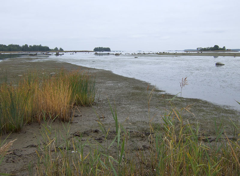 Oleskelupaikka