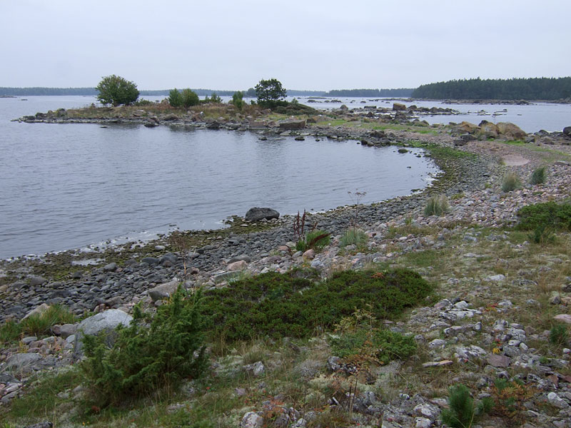 Munakarin itäsärkkä Munakarin itäsärkkä