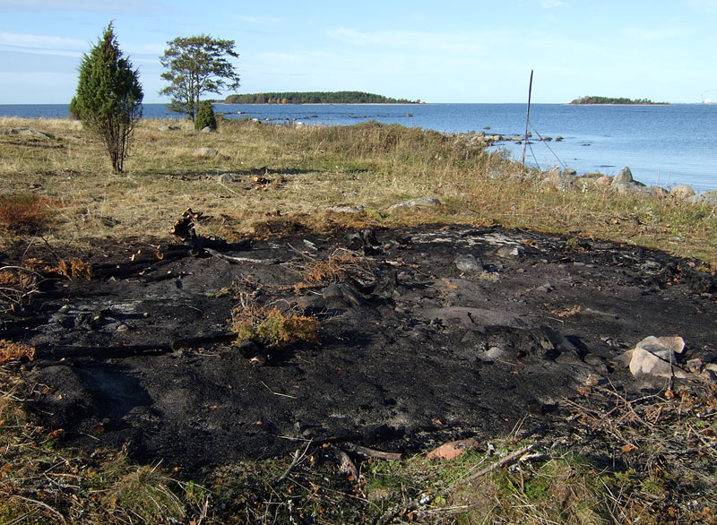 Puolivälinkari Puolivälinkari