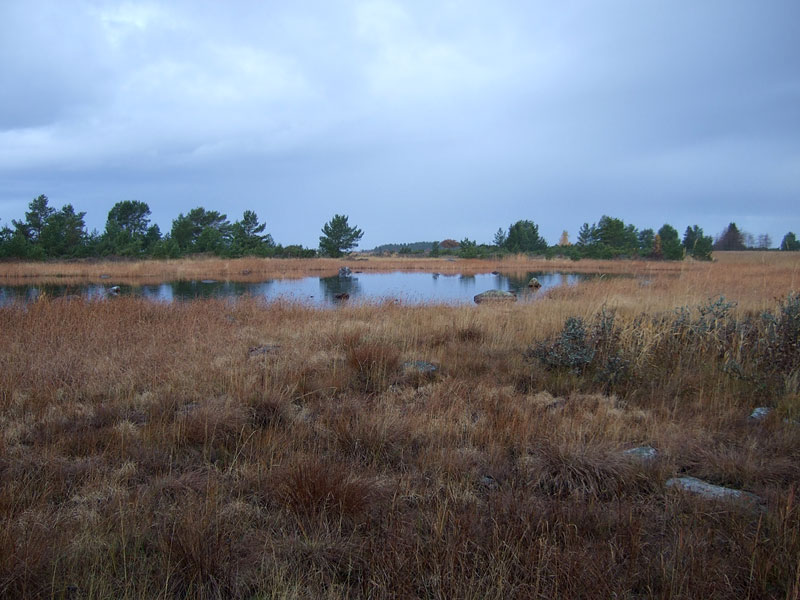 Stånggrund Stånggrund