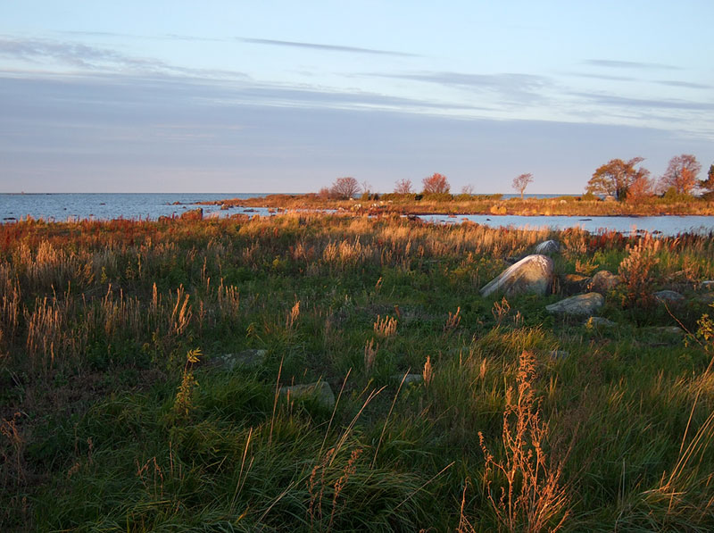 Ulkoharmaat