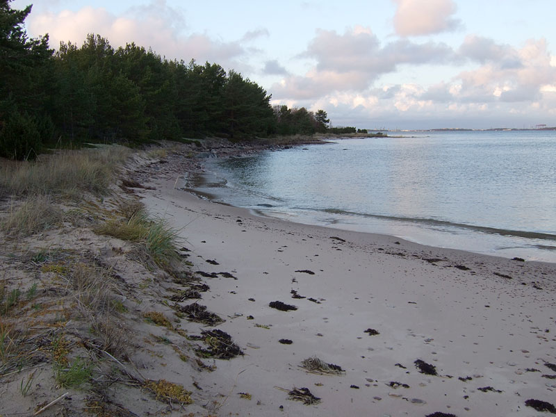 Kallioluodon itärantaa Kallioluodon itärantaa