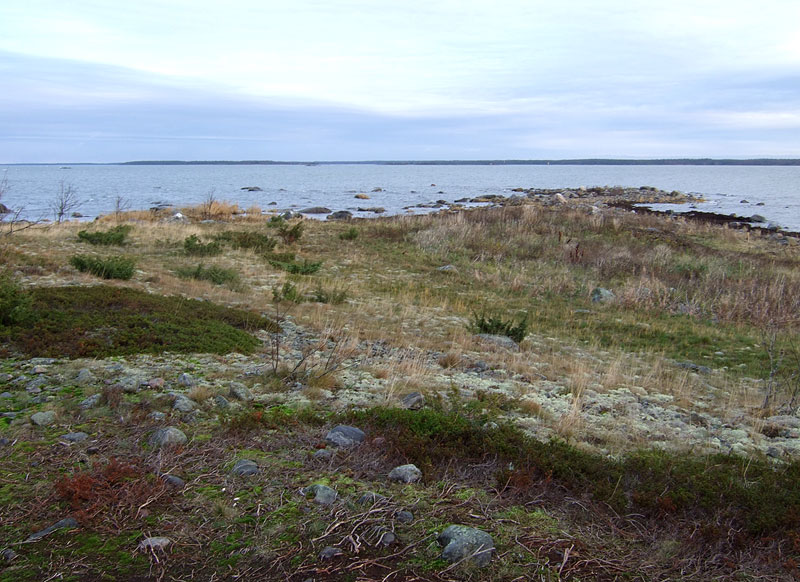 Pohjoiskärki Pohjoiskärki