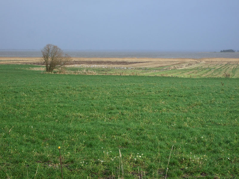 Rantapeltoa Rantapeltoa