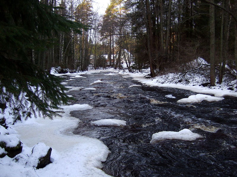 Kitukoski Kitukoski