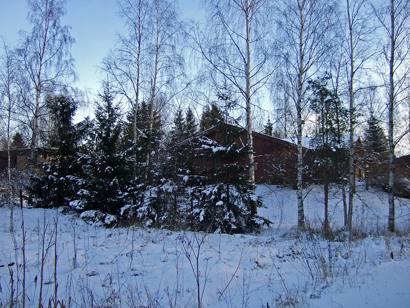 Linnun havaintopaikka Linnun havaintopaikka