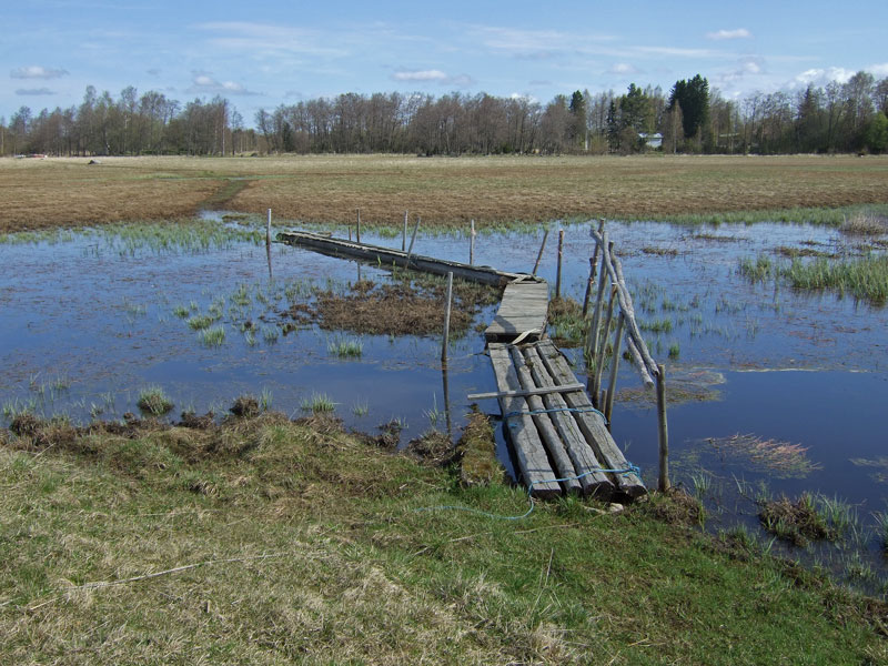 Fleiviikin silta