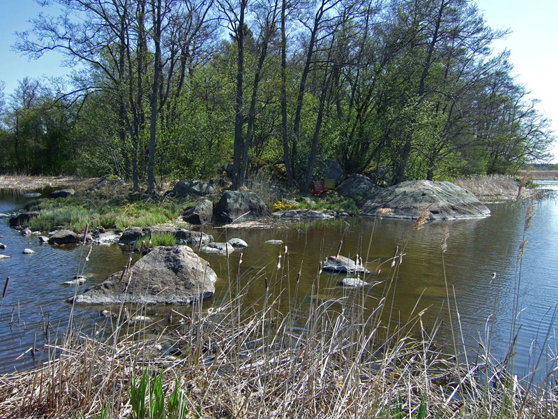 T&auml;rnoora