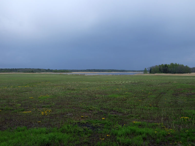 Riitsaranlahti Riitsaranlahti