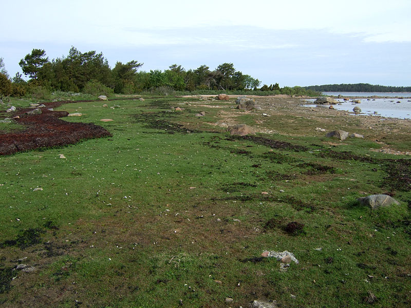 Pohjoislaguuni Pohjoislaguuni