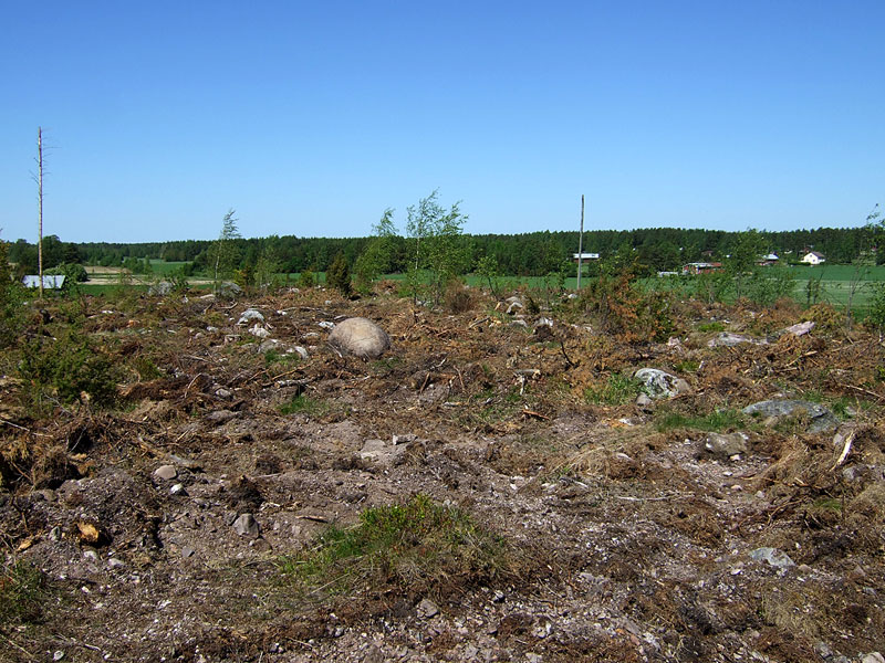 Pohjoiseen Pohjoiseen