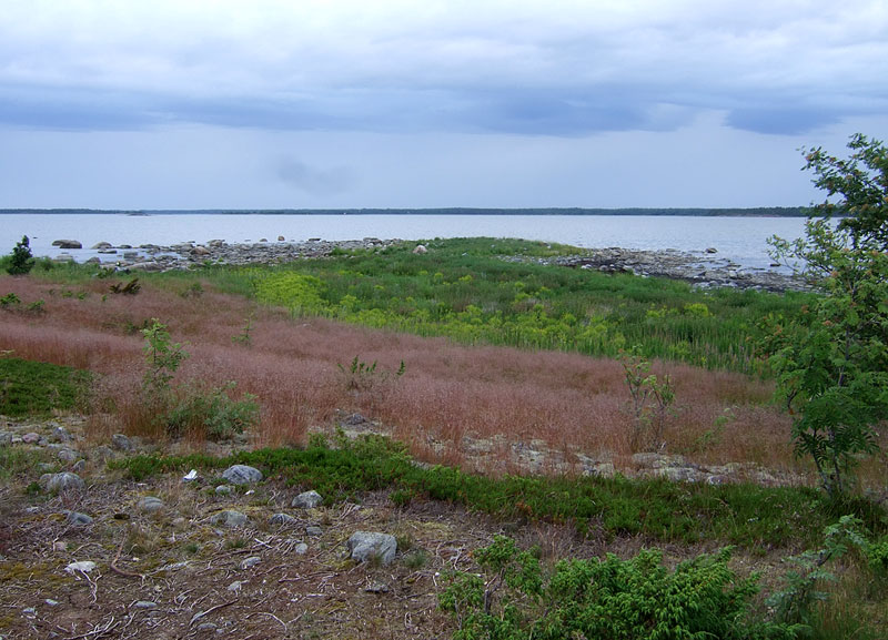 Domankobbanin pohjoiskärki Domankobbanin pohjoiskärki
