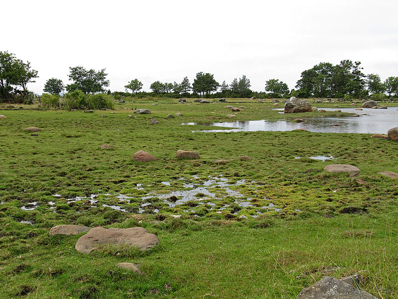 K&auml;rkilaudun