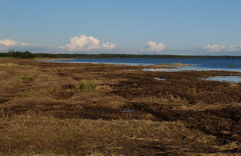 Itäinen ranta Itäinen ranta