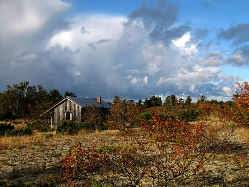 Mökki pohjoispuolelta Mökki pohjoispuolelta