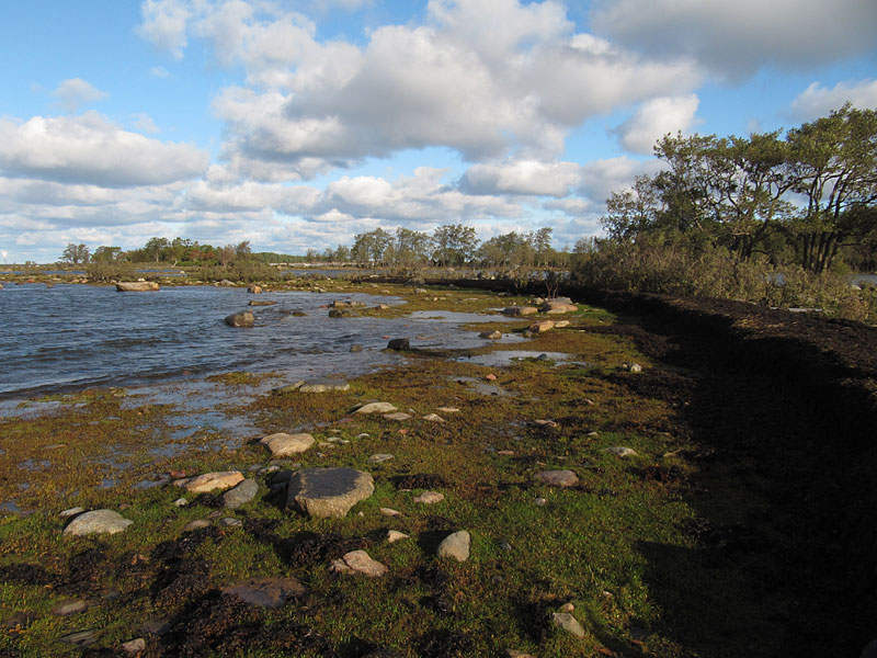 Etel&auml;k&auml;rki