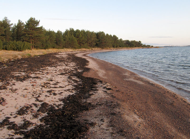 Kallioluodon hiekkaranta Kallioluodon hiekkaranta