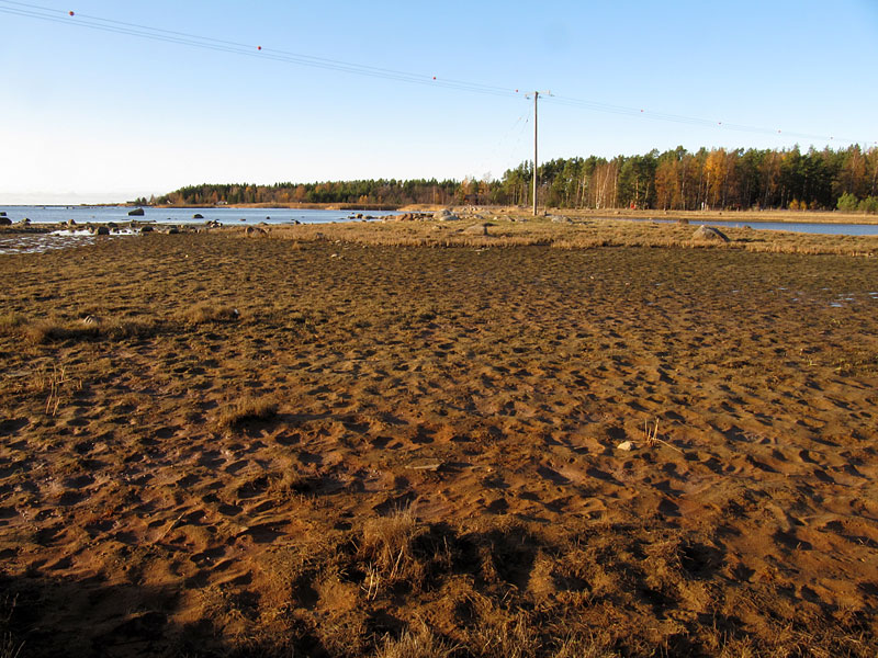 Uutpakanlahden suu Uutpakanlahden suu