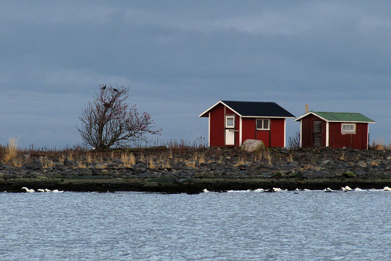 Teeret ja m&ouml;kit
