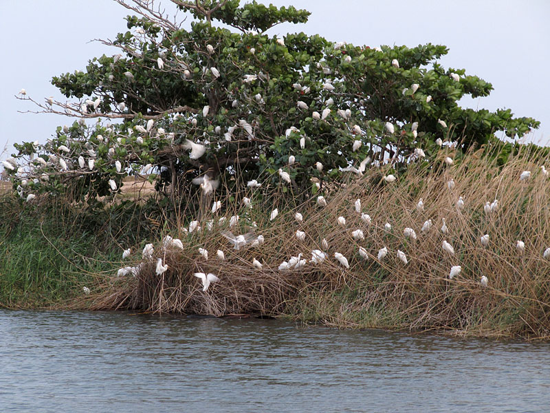 Lehm&auml;haikaroita