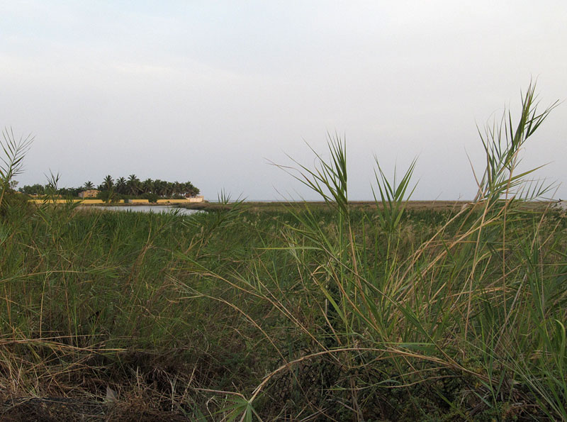 Salalah Nature Reserve
