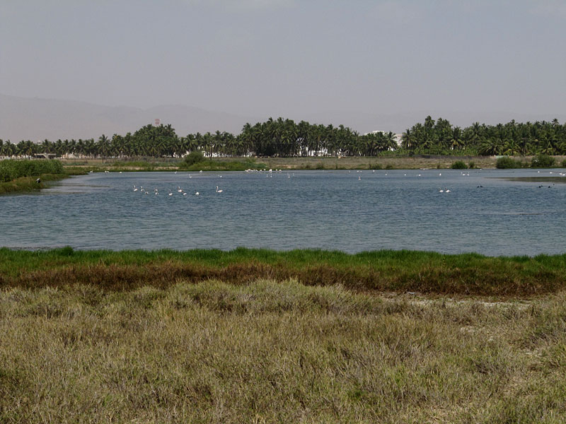 West Khawr