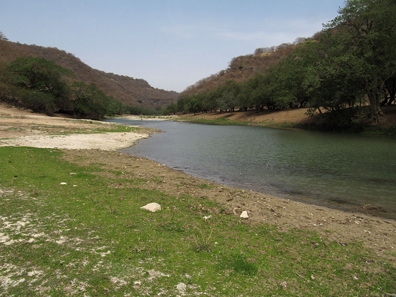 Wadi Darbat