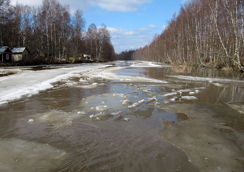 F&auml;&auml;rtinjuopa