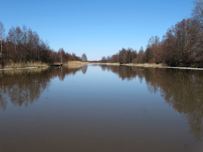 Kivininjuopa