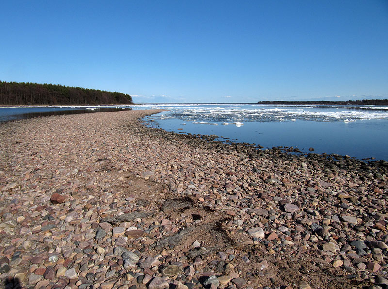Puskurin it&auml;riutta