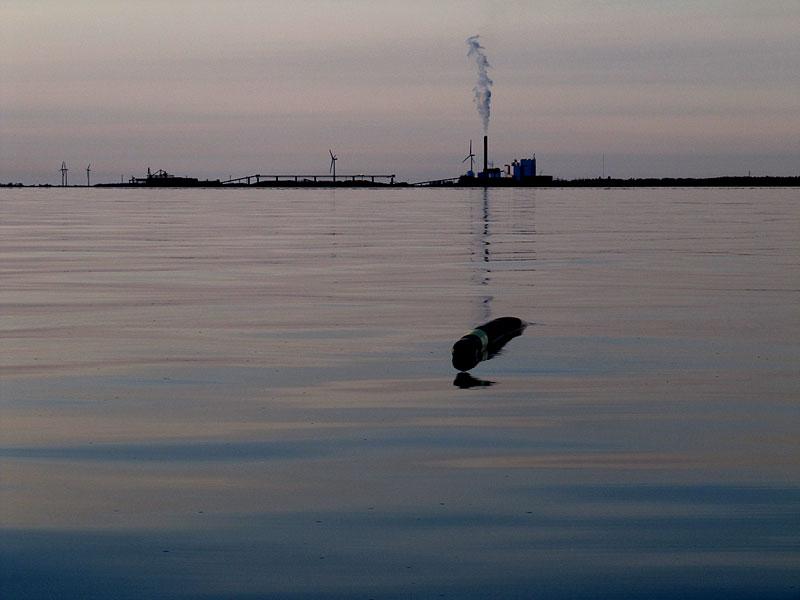 Tyyni, reimari, Tahkoluoto
