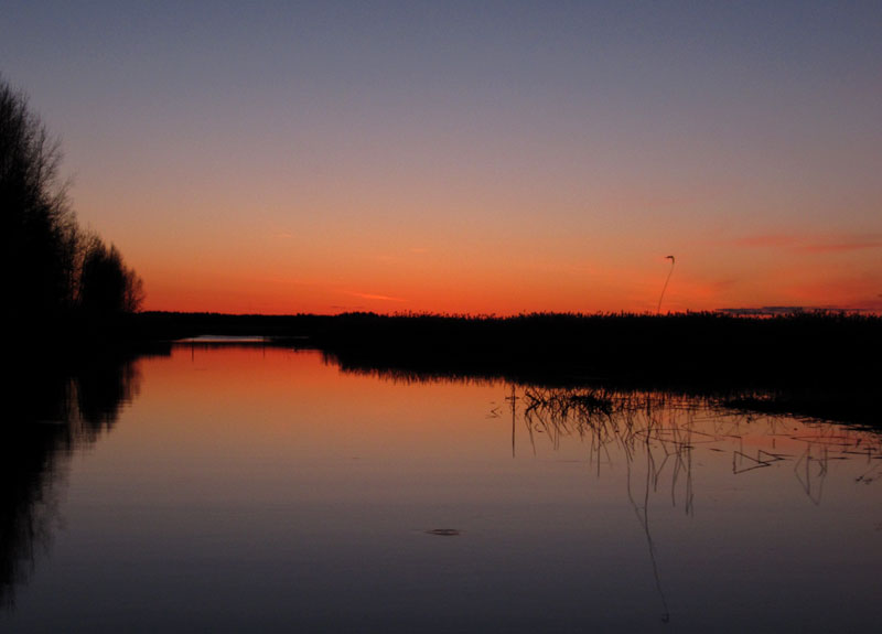Ennen auringonnousua Ennen auringonnousua